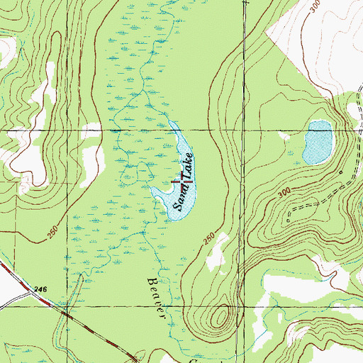 Topographic Map of Sand Lake, TX