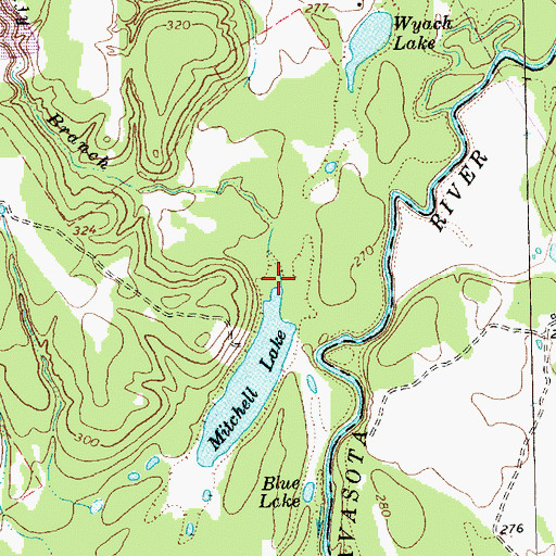 Topographic Map of Sandy Branch, TX