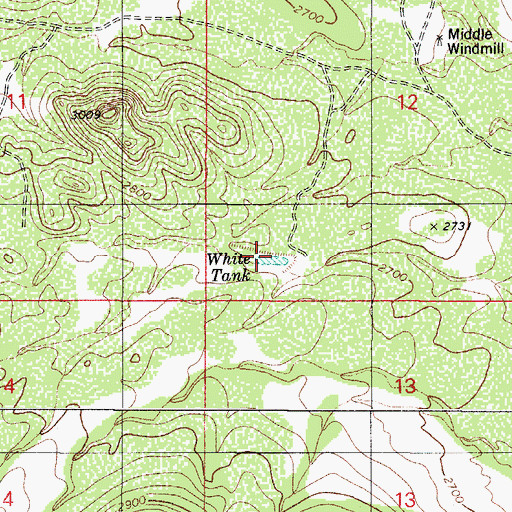 Topographic Map of White Tank, AZ