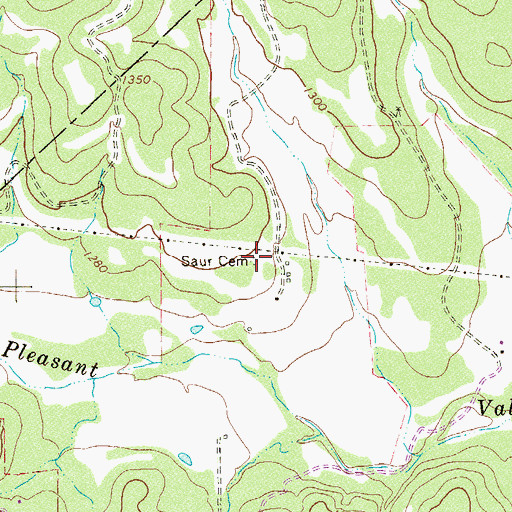 Topographic Map of Saur Cemetery, TX