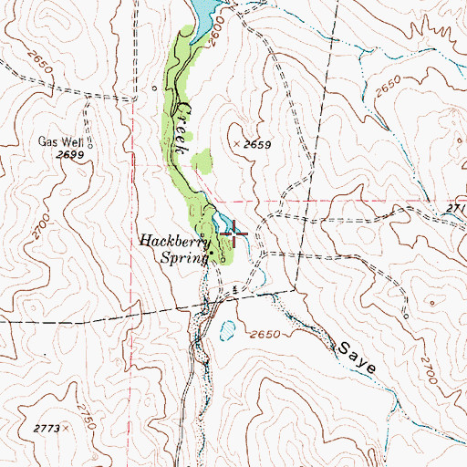 Topographic Map of Saye Draw, TX