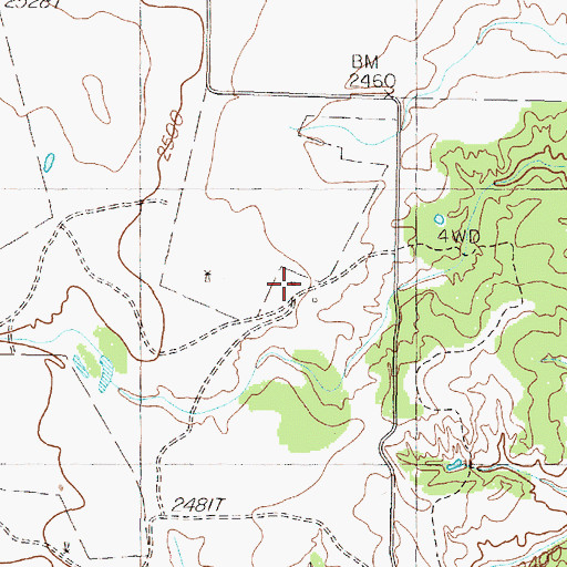 Topographic Map of Schott Ranch, TX
