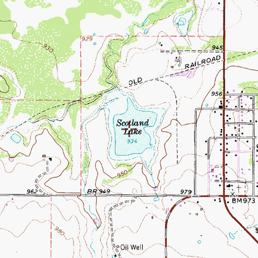 Topographic Map of Scotland Lake, TX