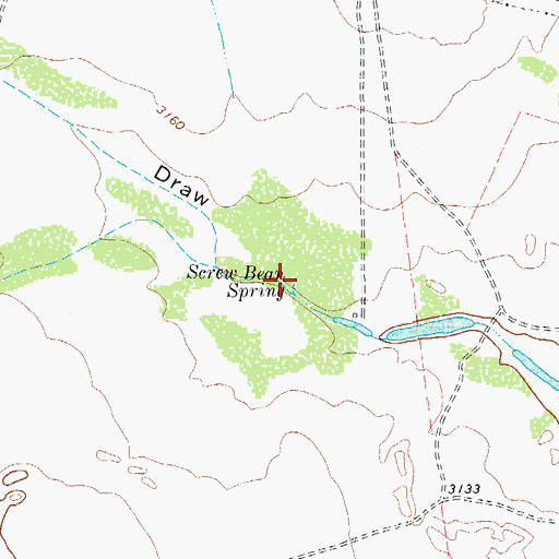 Topographic Map of Screw Bean Spring, TX