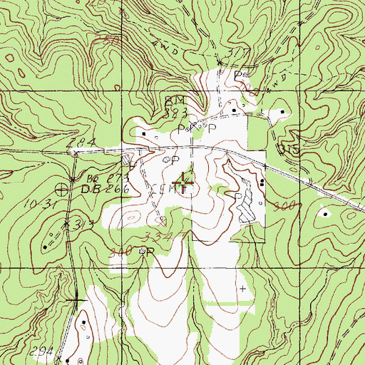 Topographic Map of Seamans Chapel, TX