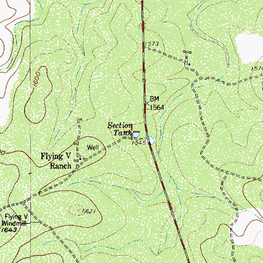 Topographic Map of Section Tank, TX
