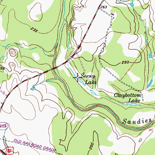 Topographic Map of Seeny Lake, TX