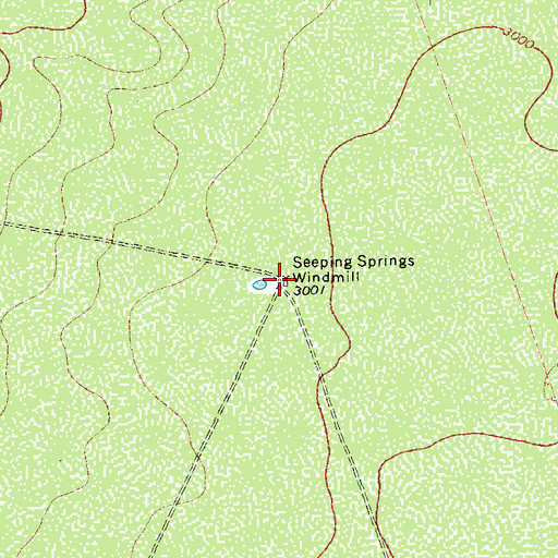 Topographic Map of Seeping Springs Windmill, TX