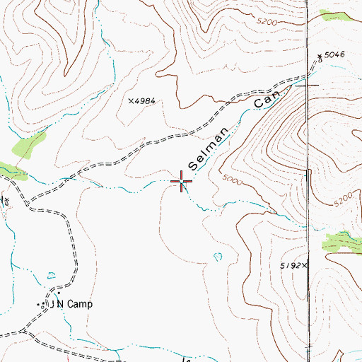 Topographic Map of Selman Canyon, TX