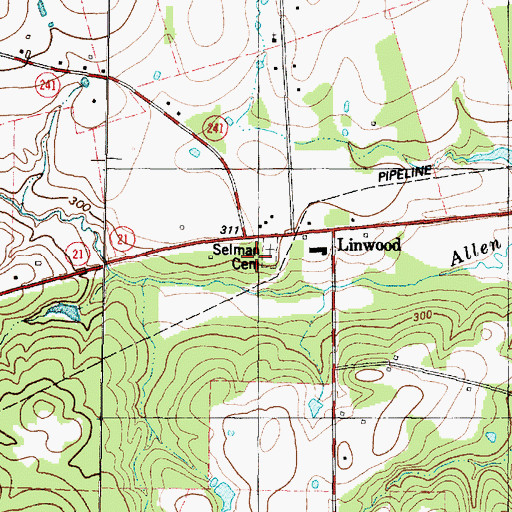 Topographic Map of Selman Cemetery, TX