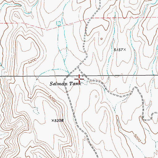 Topographic Map of Selman Tank, TX
