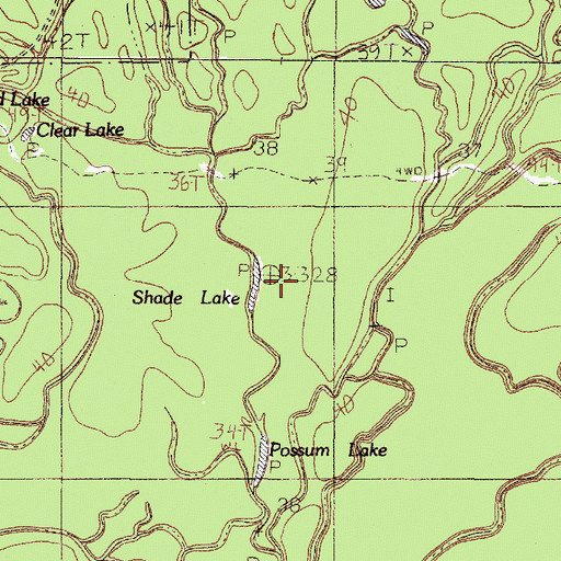 Topographic Map of Shade Lake, TX