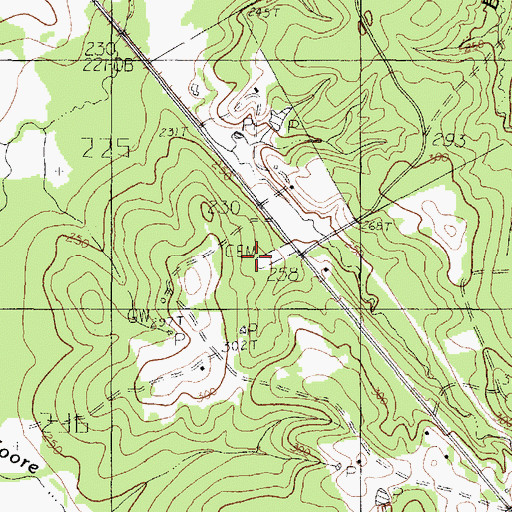 Topographic Map of Shady Grove Cemetery, TX