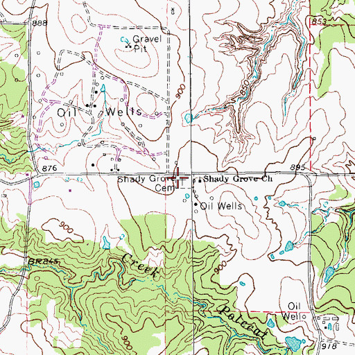 Topographic Map of Shady Grove Cemetery, TX