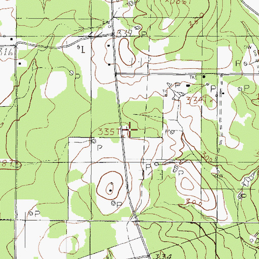 Topographic Map of Shady Grove Church, TX