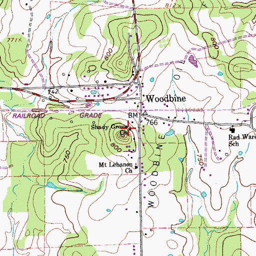 Topographic Map of Shady Grove Church, TX