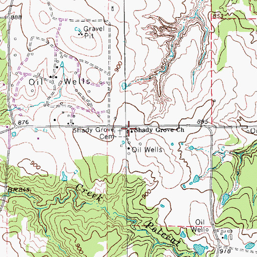 Topographic Map of Shady Grove Church, TX