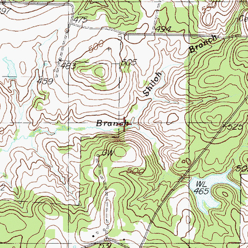 Topographic Map of Shiloh Branch, TX