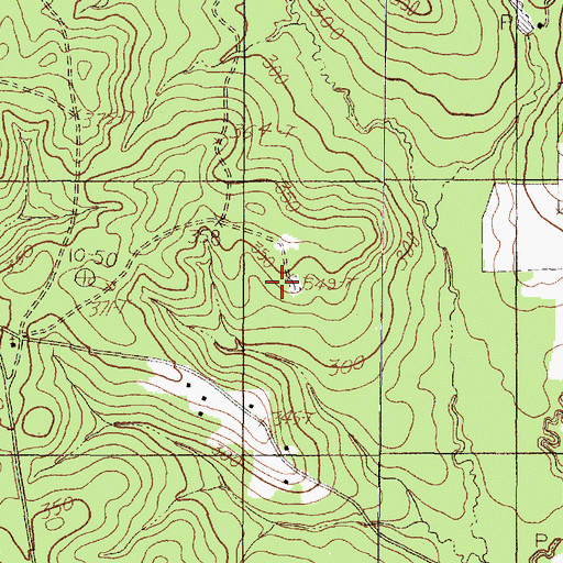 Topographic Map of Shiloh Cemetery, TX