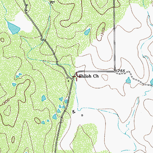 Topographic Map of Shiloh Church, TX