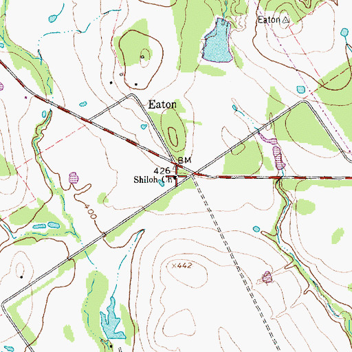 Topographic Map of Shiloh Church, TX
