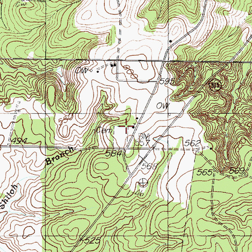 Topographic Map of Shiloh Church, TX