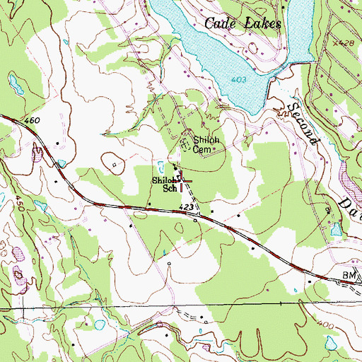 Topographic Map of Shiloh School, TX