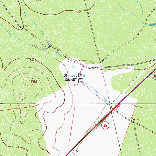 Topographic Map of Shiner Ranch, TX