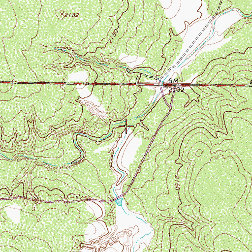 Topographic Map of Shinnery Draw, TX
