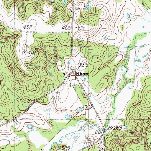 Topographic Map of Short, TX