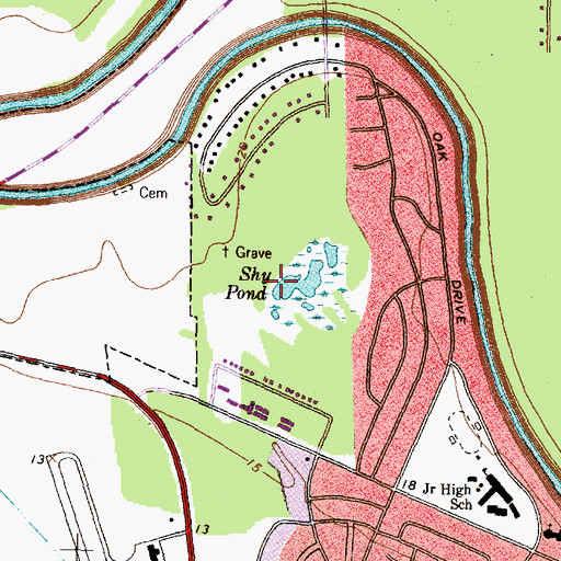 Topographic Map of Shy Pond, TX