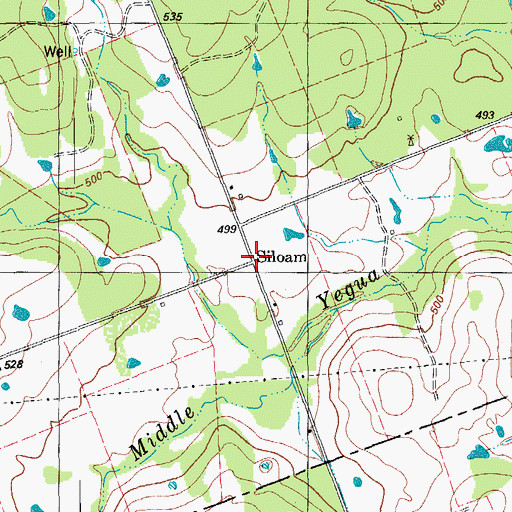 Topographic Map of Siloam, TX