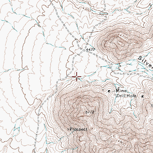 Topographic Map of Silver King Canyon, TX