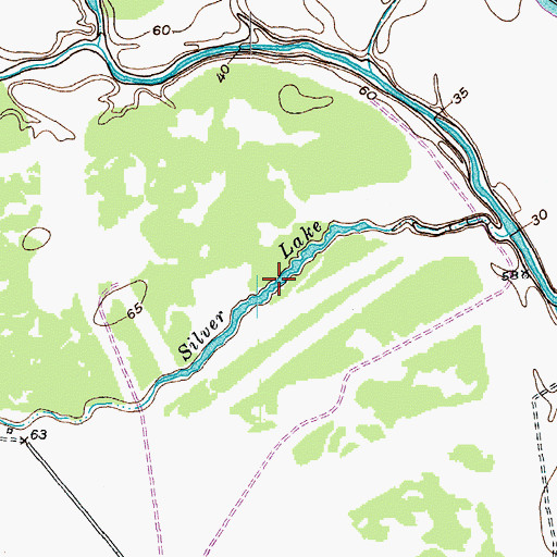 Topographic Map of Silver Lake, TX