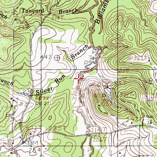 Topographic Map of Silver Run Branch, TX