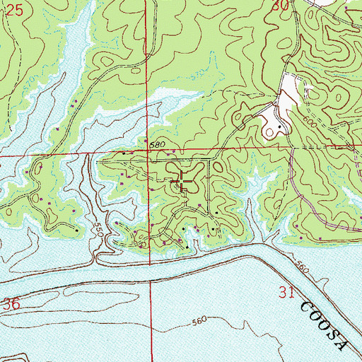 Topographic Map of Alpine Shores, AL