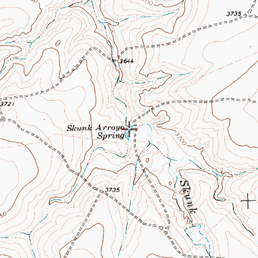 Topographic Map of Skunk Arroyo Spring, TX
