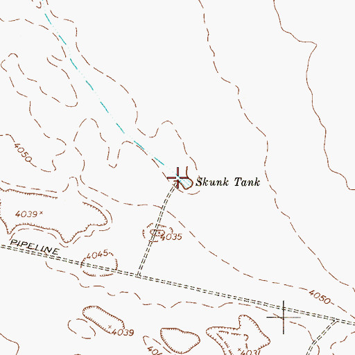 Topographic Map of Skunk Tank, TX