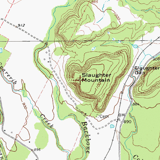 Topographic Map of Slaughter Mountain, TX