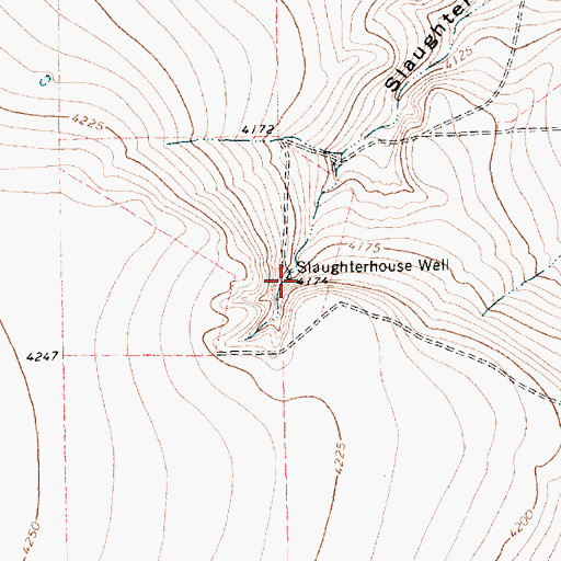 Topographic Map of Slaughterhouse Well, TX