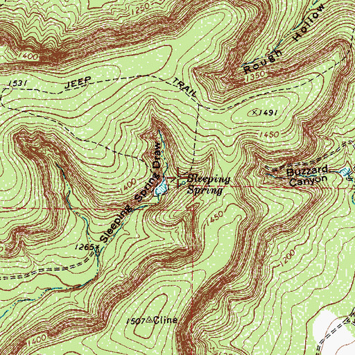 Topographic Map of Sleeping Spring, TX