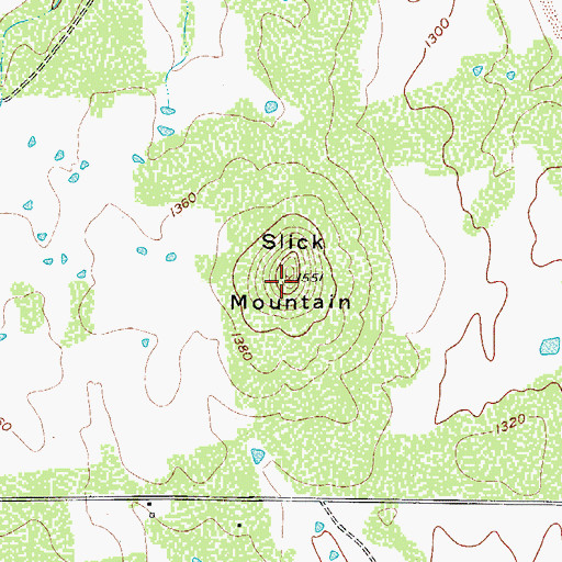 Topographic Map of Slick Mountain, TX