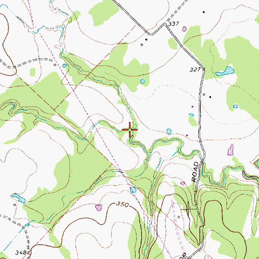 Topographic Map of Snake Branch, TX