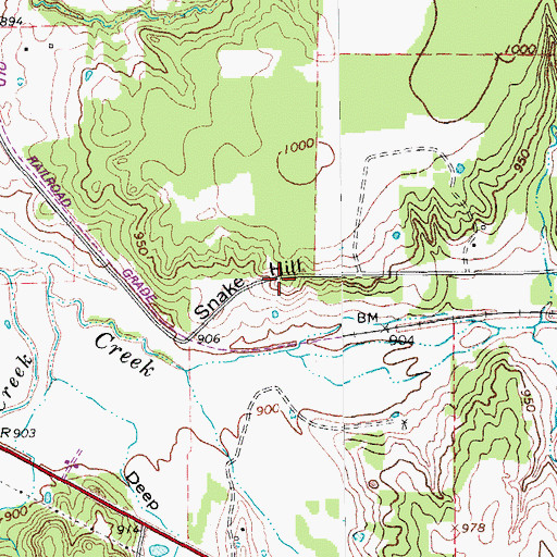 Topographic Map of Snake Hill, TX