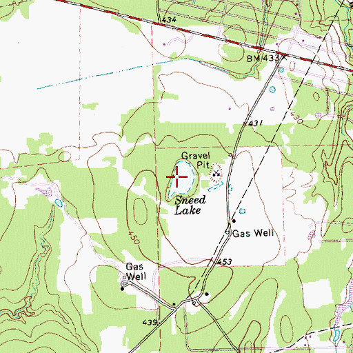 Topographic Map of Sneed Lake, TX
