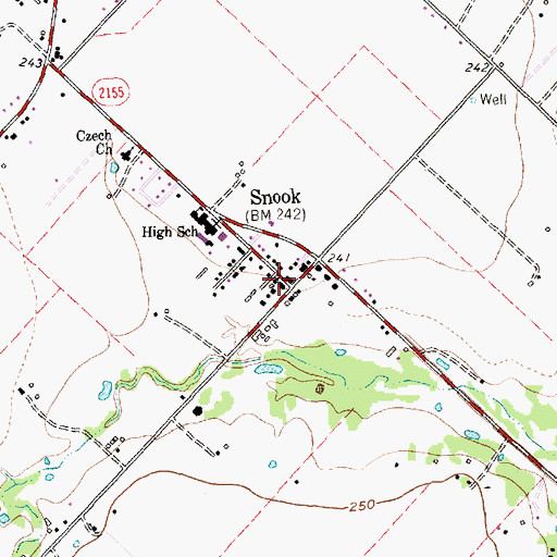 Topographic Map of Snook, TX