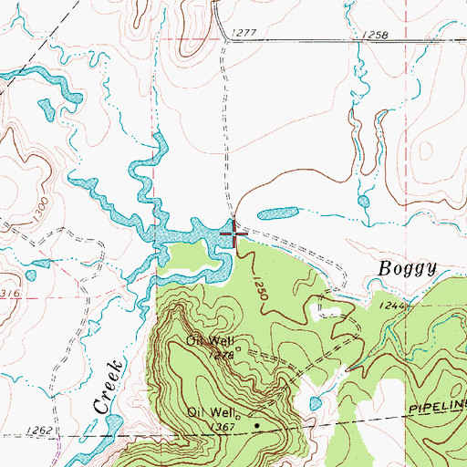 Topographic Map of South Boggy Creek, TX