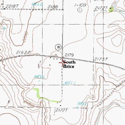 Topographic Map of South Brice, TX