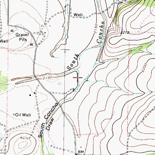 Topographic Map of South Concho Draw, TX