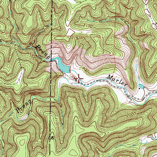 Topographic Map of South Prong Marler Creek, TX